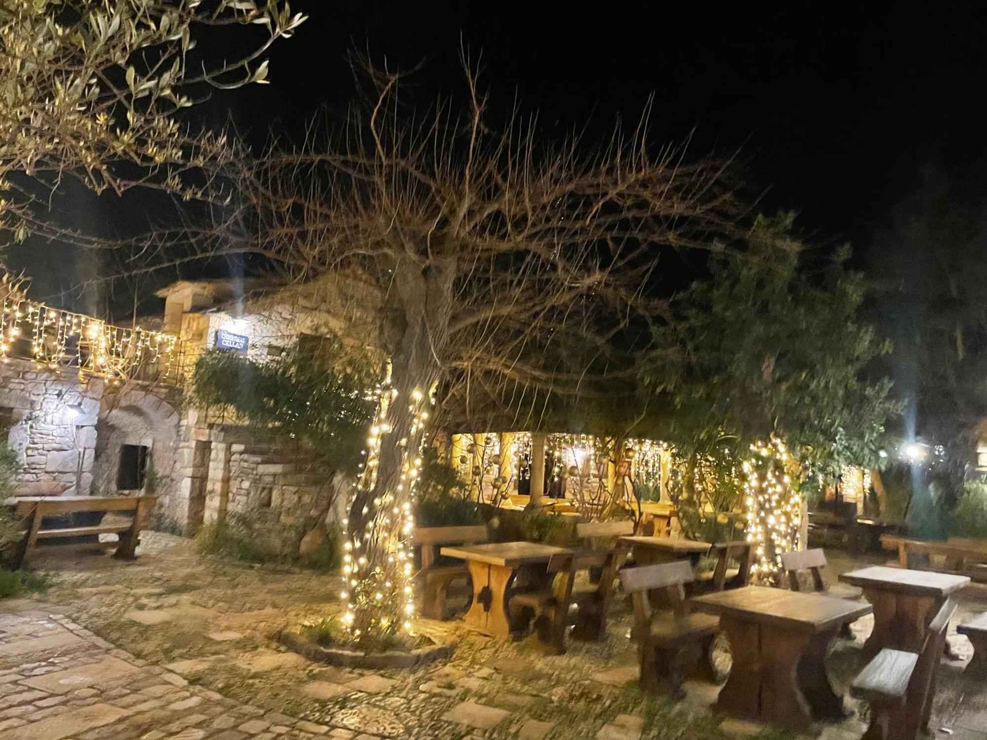My Adriatic Place With Private Garden And Garage Шибеник Экстерьер фото